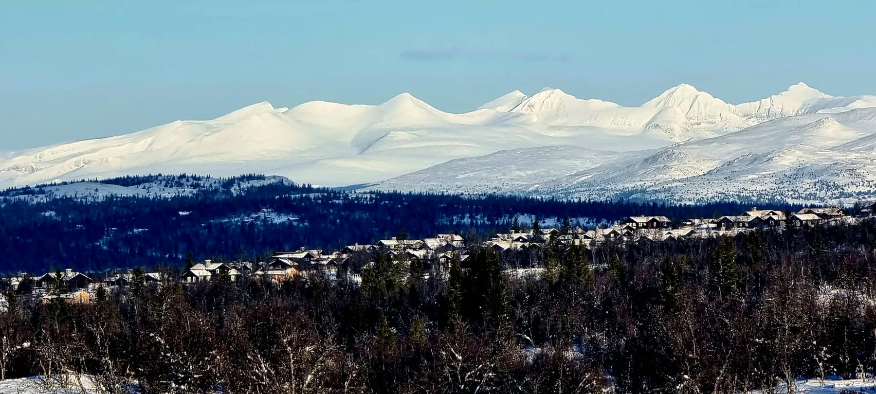 Fjellrekka i vinterdrakt