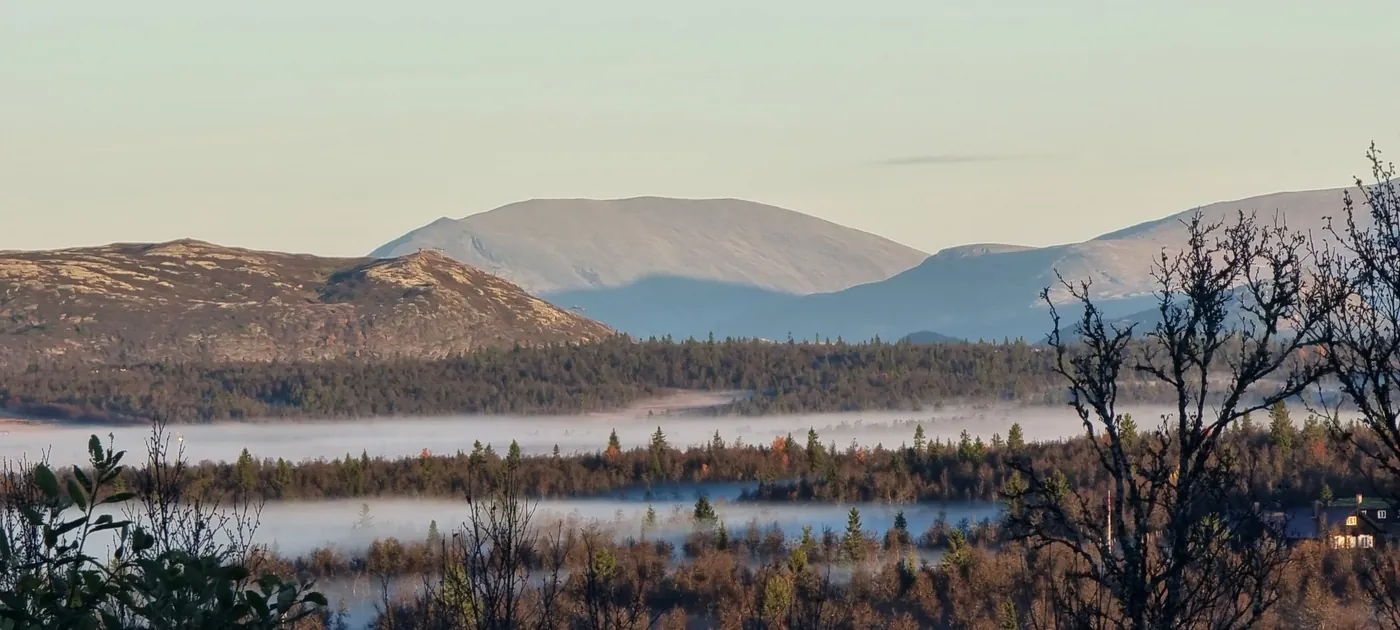 Lauvåsen